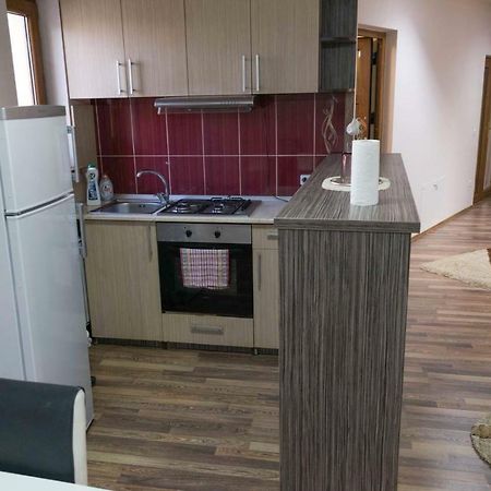 Penthouse De Lux Apartment Oradea Bagian luar foto