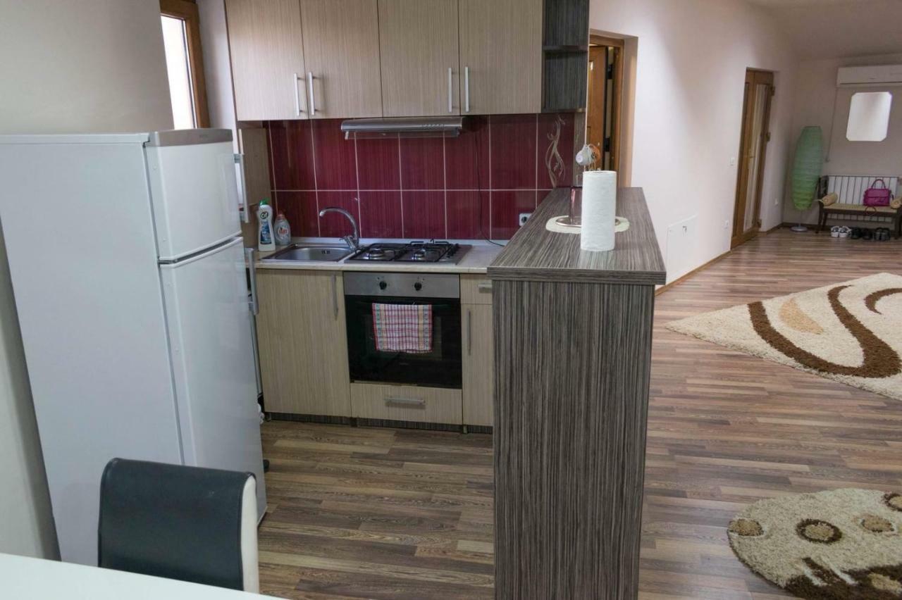 Penthouse De Lux Apartment Oradea Bagian luar foto